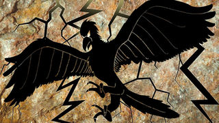 Tale of The Thunderbird: An Unveiling of Indigenous Lore