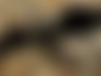 Tale of The Thunderbird: An Unveiling of Indigenous Lore