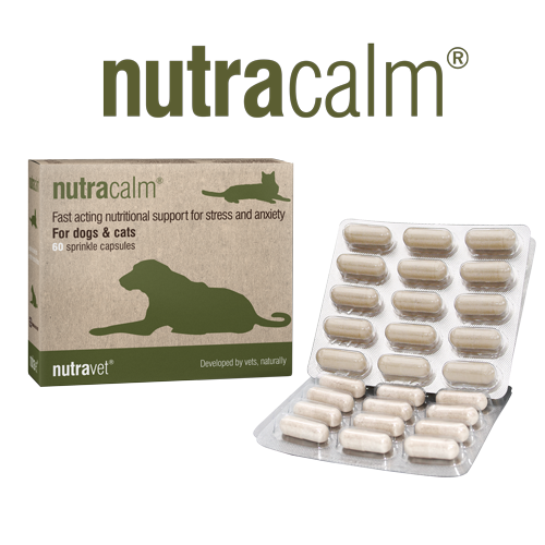 nutracalm for dogs and cats VetMediUK