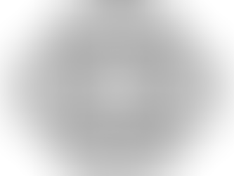 Connaissez-vous votre Ikigai?