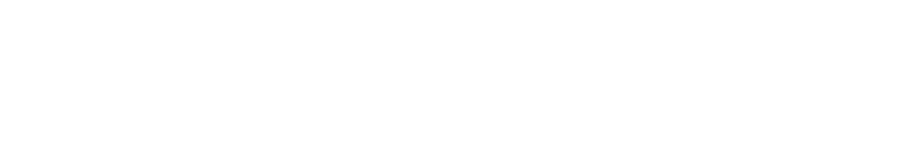 ZWSOFT logo all with-web.webp