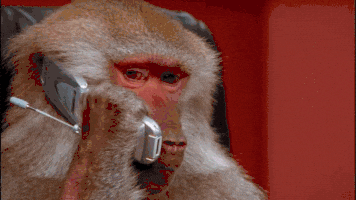 Phone Monkey GIF.gif