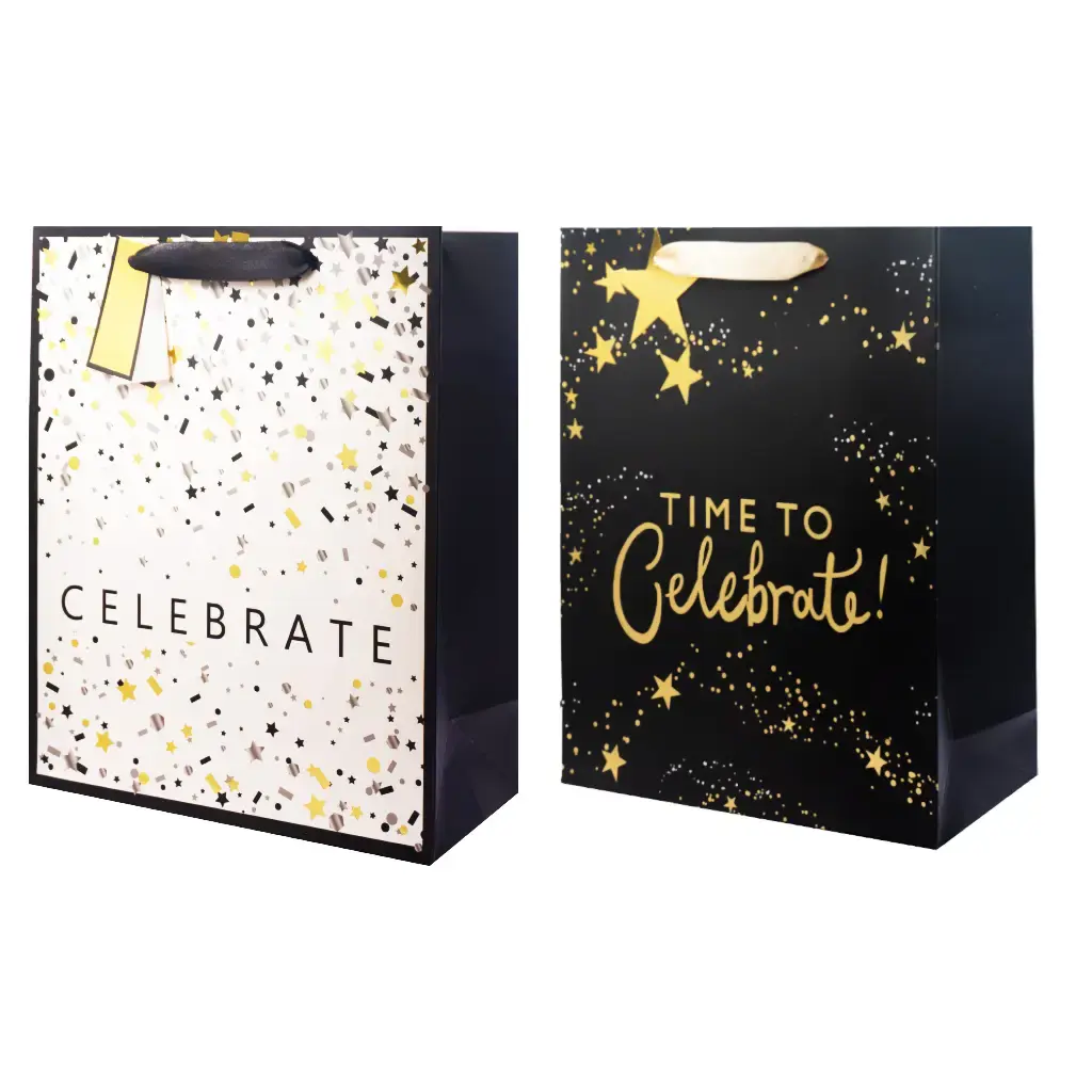 Everyday Foil Gift Bag – Celebrate