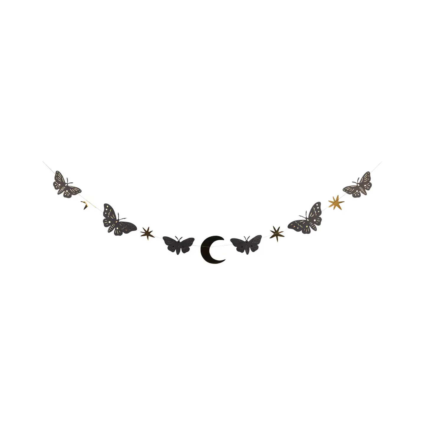 Moths and Stars Banner