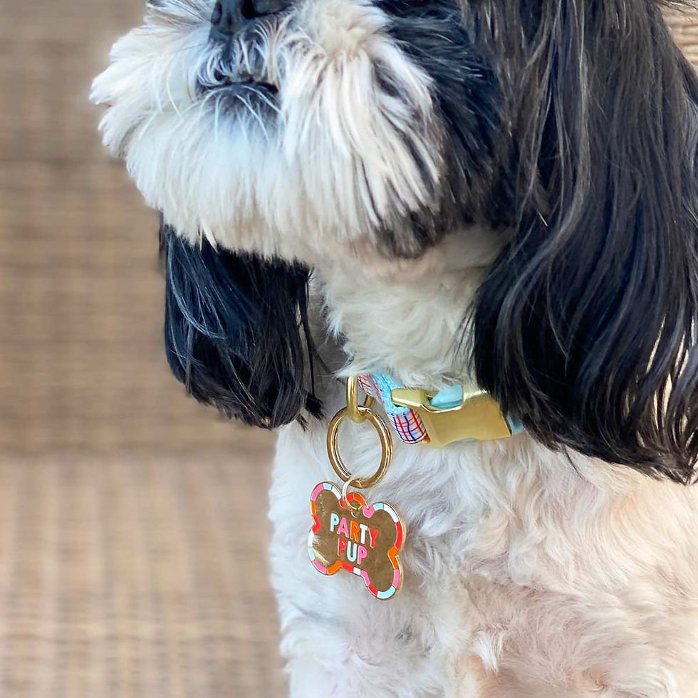 Thumbnail: Party Pup Dog Tag