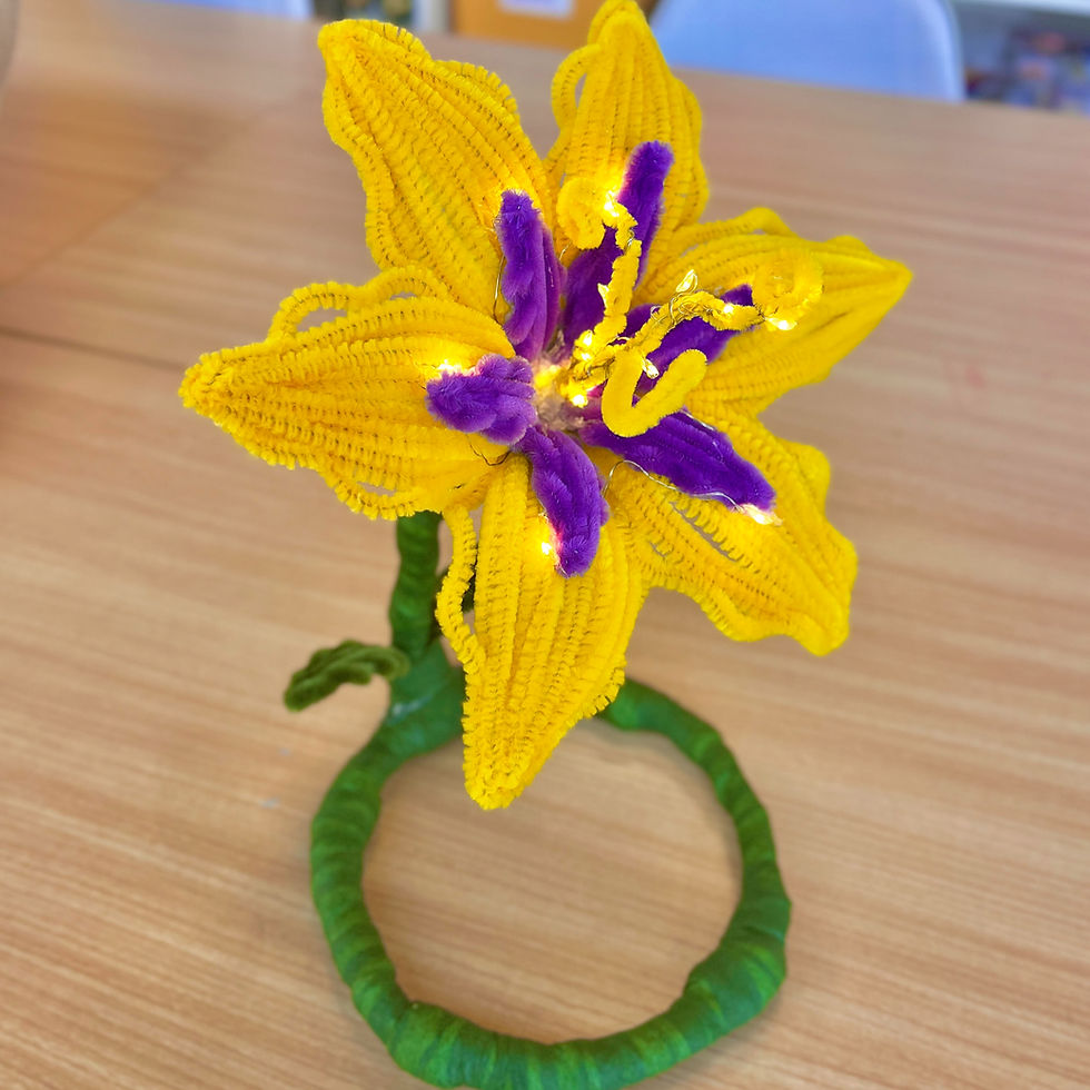 The Sundrop Flower: Pipe Cleaner Bloom Workshop