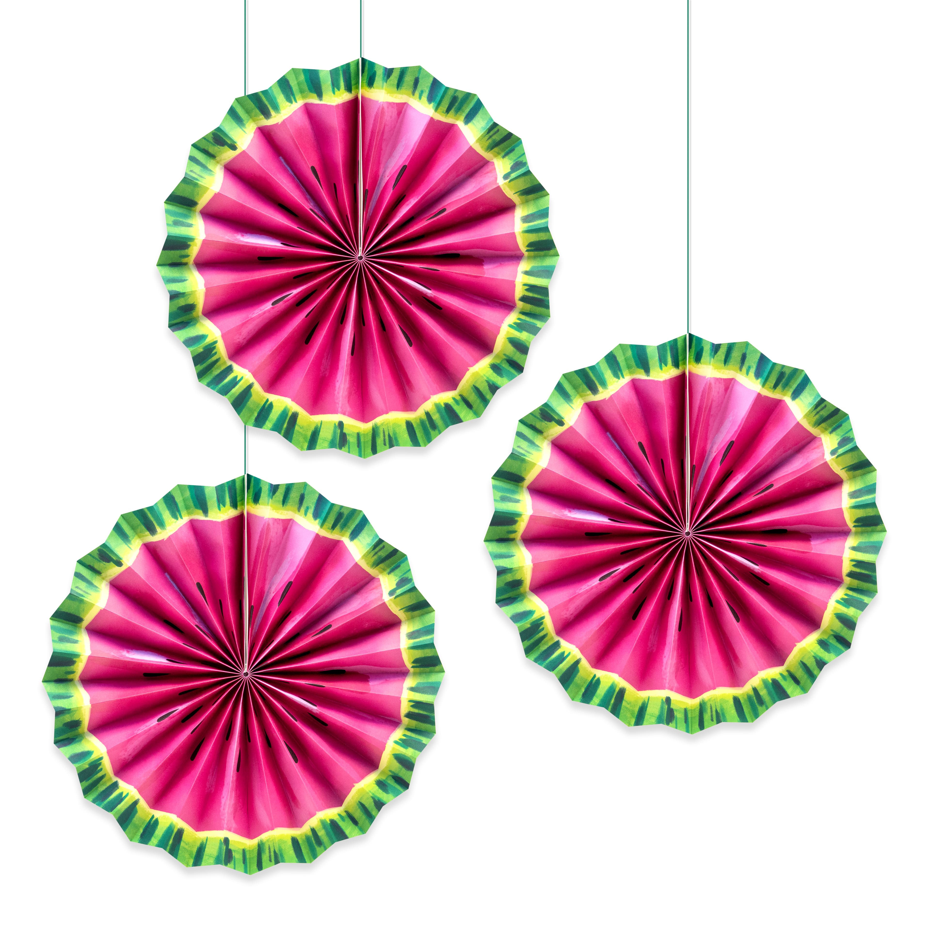 Watermelon Fan Kit