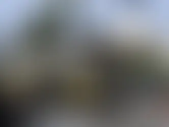 Portugal notificará 5,3 mil brasileiros a deixar o país em 20 dias