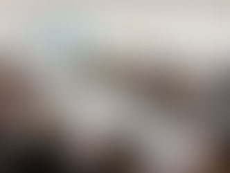 CANEDÃO: mais ágil em áreas como cardiologia e ortopedia