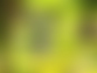 CANEDÃO CUIDANDO DOS MORTOS