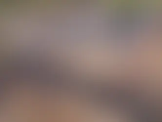 Detran vai leiloar 1,3 mil veículos no dia 26 de agosto