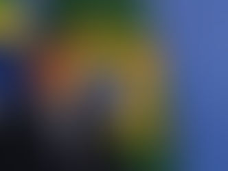 Ordem do STF determina que Bolsonaro entregue passaporte à Justiça