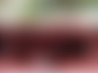 Prefeito Fernando Pellozo de Senador Canedo inaugura a nova Sede do SAMU