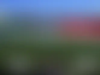 A Polícia Civil de Goiás indicia 24 integrantes de torcida organizada e dupla líder de grupo é presa