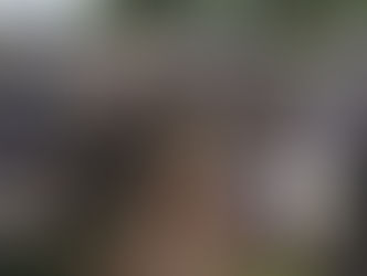 Prefeitura de Senador Canedo vai leiloar veículos apreendidos