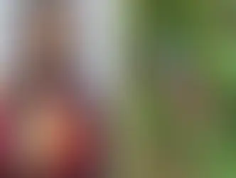 Idosa é presa após matar morador de rua e comer coração e órgão sexual dele