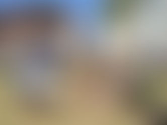 Parceria garante curso de jardinagem gratuito em Senador Canedo