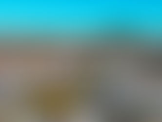 CANEDÃO: TEM EMPREGOS HOJE