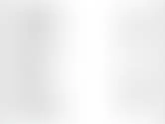 Quem são os 173 deputados que assinaram a CPMI de 8 de janeiro