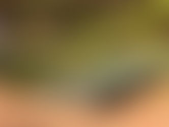 CANEDÃO: horta estava furtando água