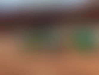 Apreensão histórica: Mais de 730 quilos de maconha são apreendidos pela PCGO e dupla é presa