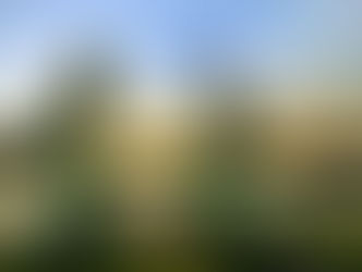 Prefeitura de Senador Canedo tem quase 1200 oportunidades de emprego nesta semana