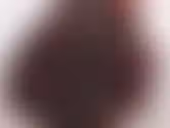 Pedra usada por idosa para segurar a porta durante anos vale R$ 5,6 milhões