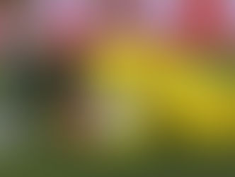 Cássio brilha nos pênaltis e Corinthians elimina o Estudiantes na Sul-Americana