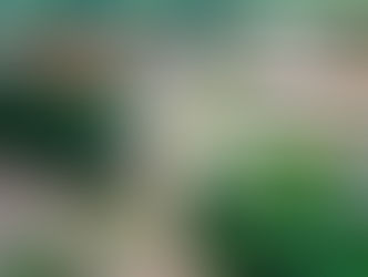 Procon Goiás e Secretaria de Estado da Economia fazem operação em Senador Canedo