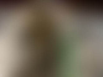 Em ação conjunta, PMGO apreende 800 quilos de maconha em caminhão com vasos de planta