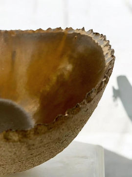 Thumbnail: NESTED VESSEL NO. 1