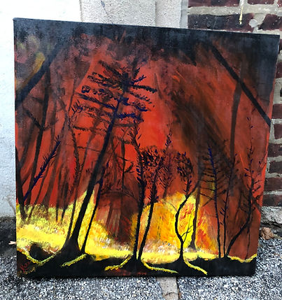 Forest Fire.jpg