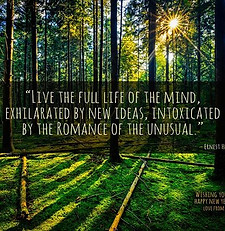 HUB 87|Graphic designer & printer. Print, Stationery, flyers, brochures, menus, invitations, posters, banners, signage, flags, vehicle graphics, laser cutting & more.