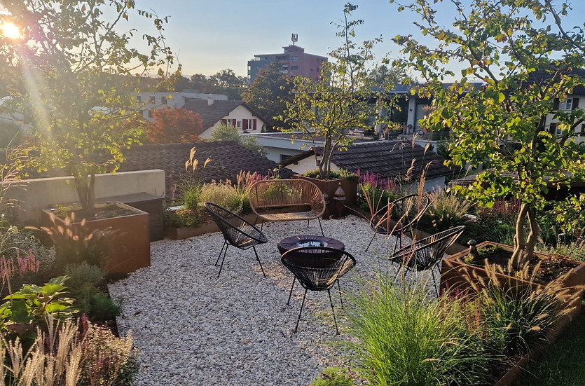 WhatsApp Image 2025-11-11 at 10.45.48.jpeg