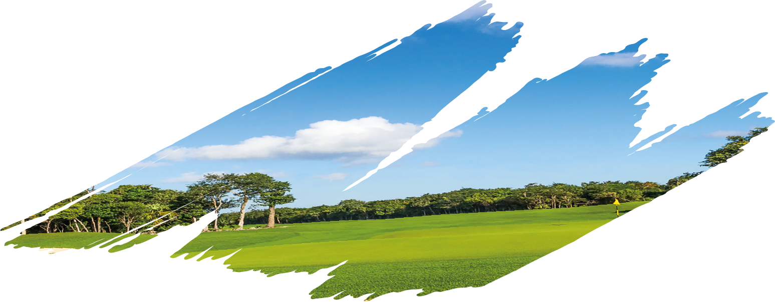 site background.png
