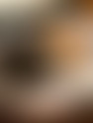 A calico cat and an orange cat are cuddled up next to each other on an elevated pet bed.