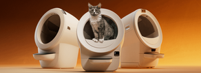 A cat emerging from one of three Litter Robot automatic litter boxes.