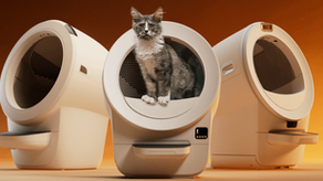 A cat emerging from one of three Litter Robot automatic litter boxes.