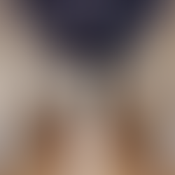 Galerie Sismann at TEFAF 2022