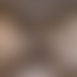 Koetser Gallery at TEFAF 2023