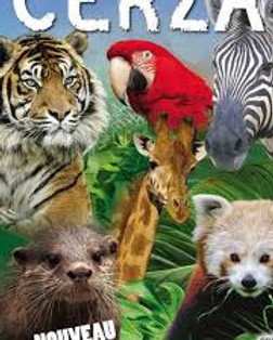 téléchargement (7).jpg