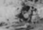 cdaresorttastingfoundinfablescreative-1828.jpg