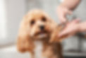 iStock-2256709596.jpg