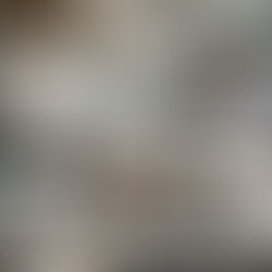 Представяне "От всичко за всички"