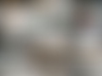 Представяне "От всичко за всички"