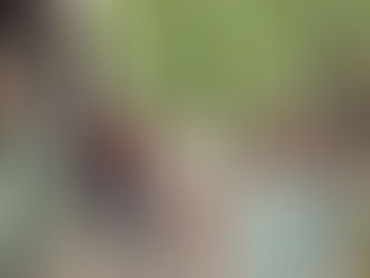 AI elevates the work of people, but it does not approach the qualities that make a company like Wix succeed.