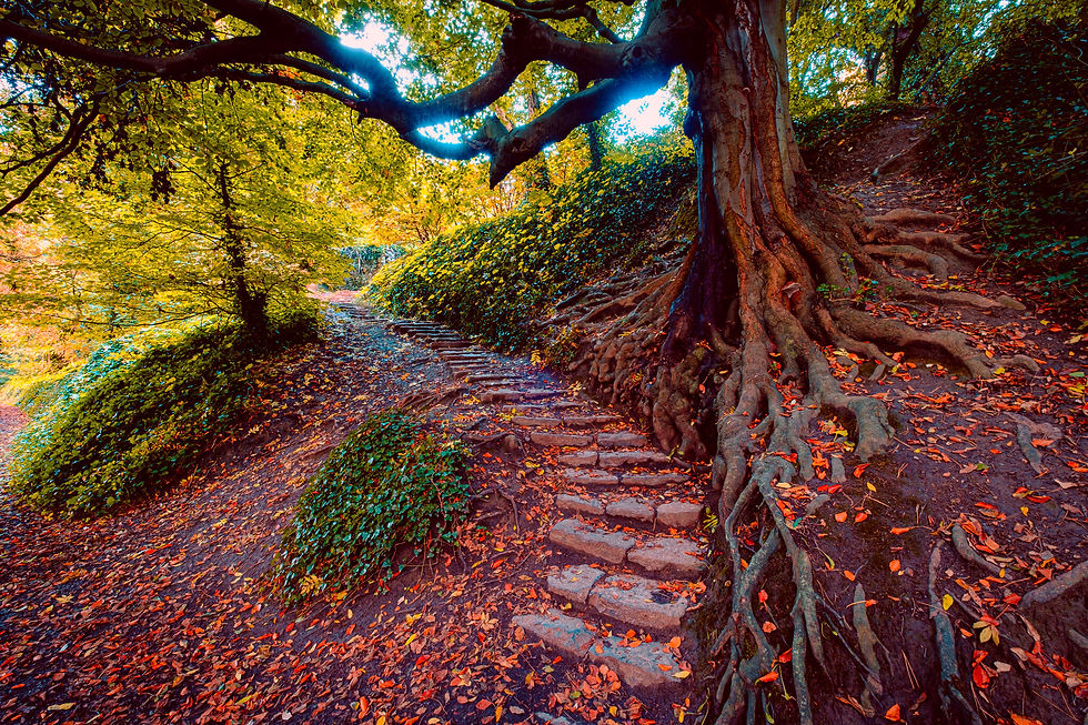 St Anne Park