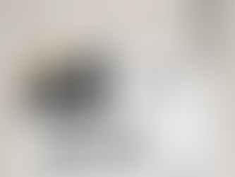 書僮H 的閱讀筆記|【背叛、喪志、滅頂、生還 —— 血淋淋的歷史思考】