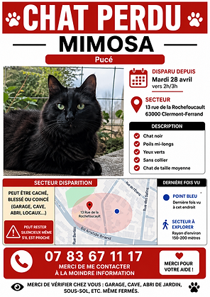 Mimosa
