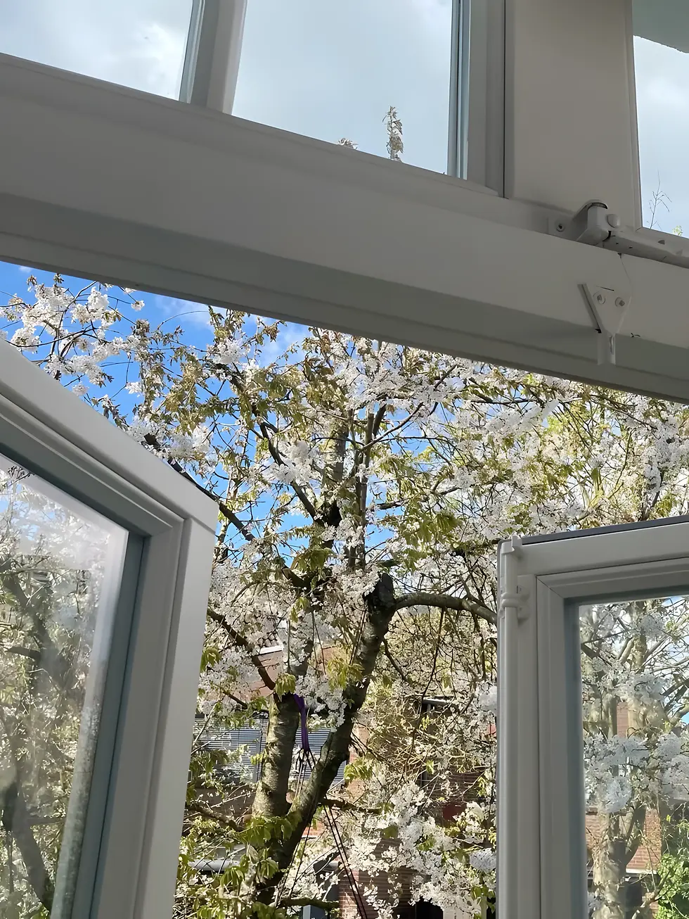 Windows, light and air: freshening up in March